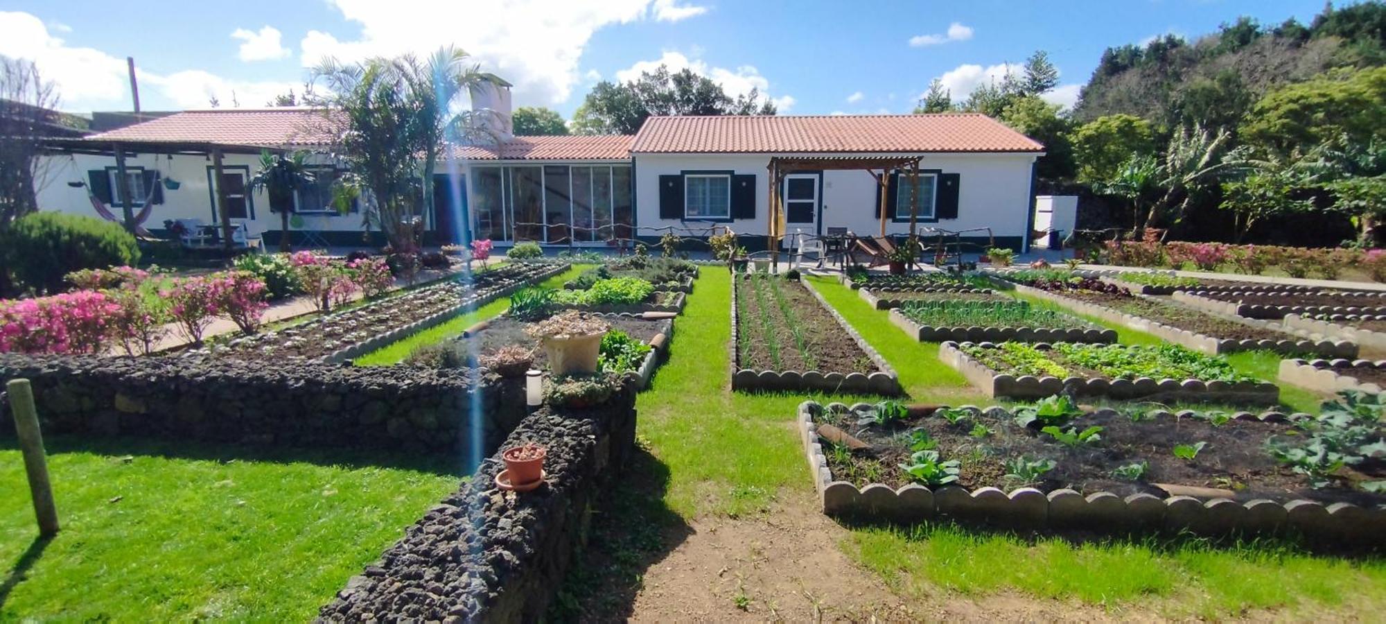 Quinta Dos Sentidos , Rustic Holiday Houses In São Vicente Ferreira Εξωτερικό φωτογραφία