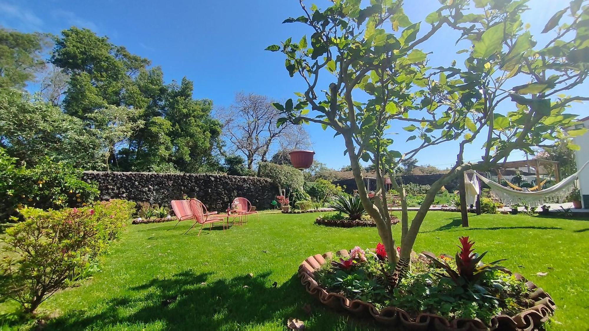 Quinta Dos Sentidos , Rustic Holiday Houses In São Vicente Ferreira Εξωτερικό φωτογραφία