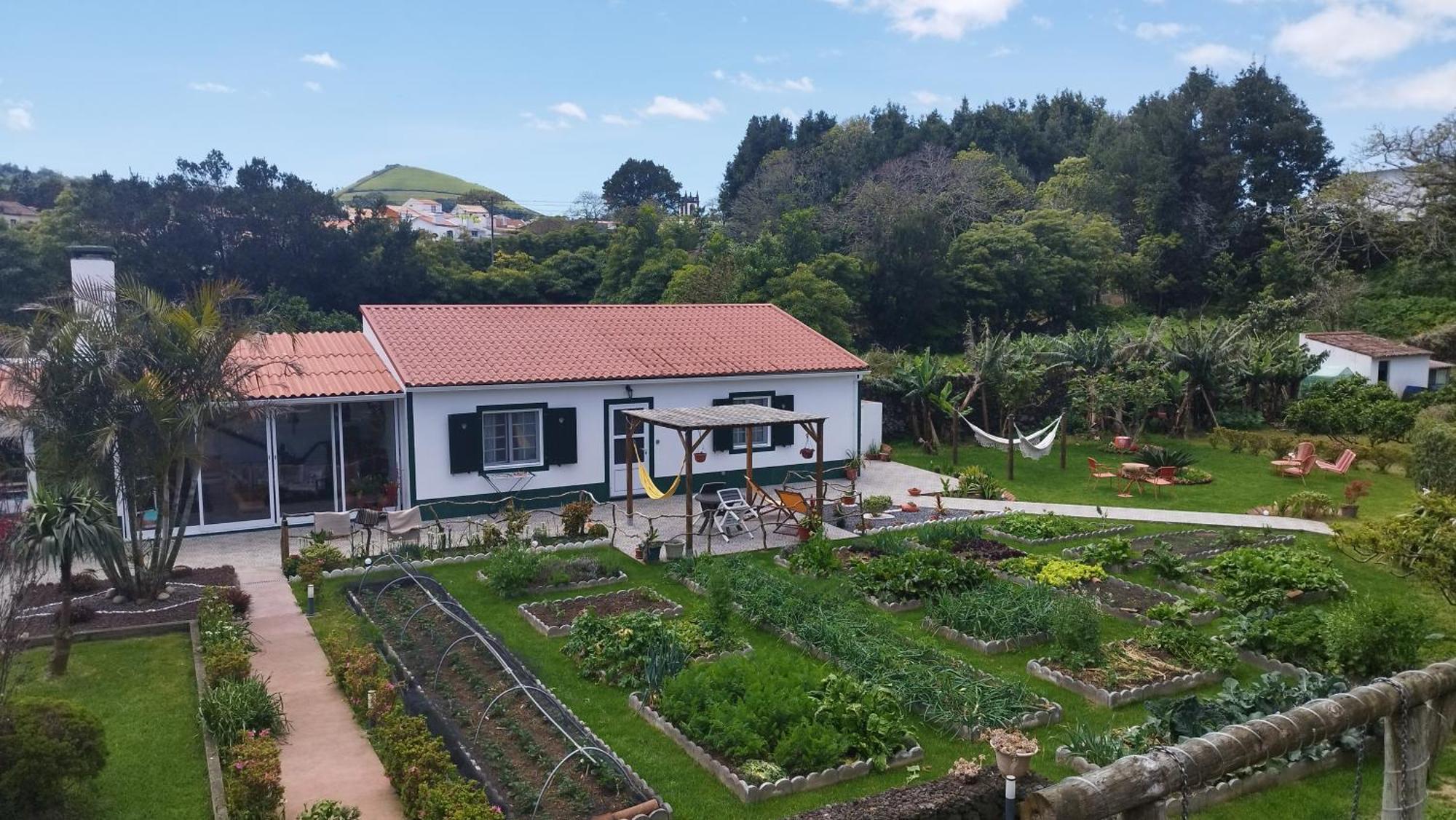 Quinta Dos Sentidos , Rustic Holiday Houses In São Vicente Ferreira Εξωτερικό φωτογραφία