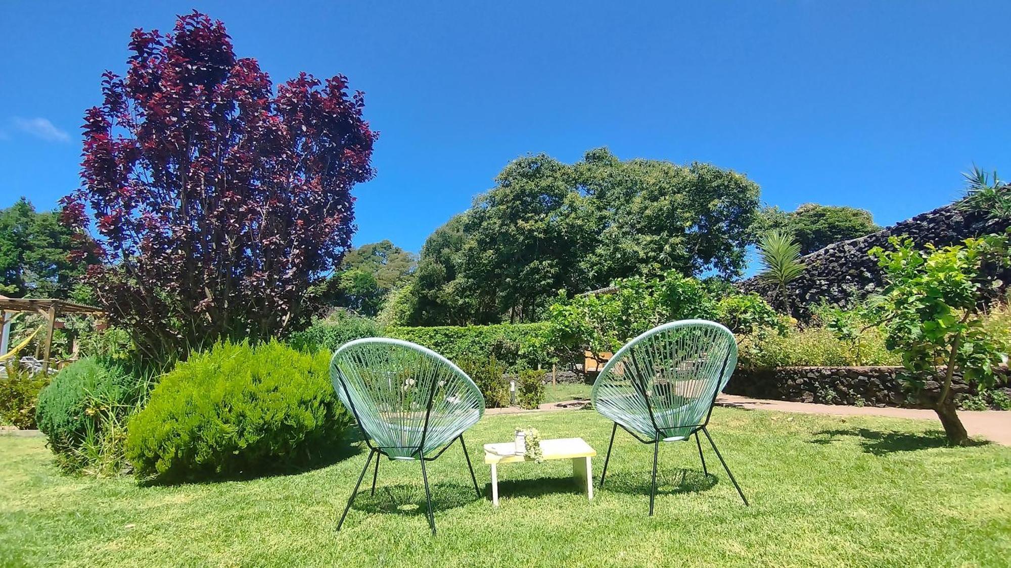 Quinta Dos Sentidos , Rustic Holiday Houses In São Vicente Ferreira Εξωτερικό φωτογραφία